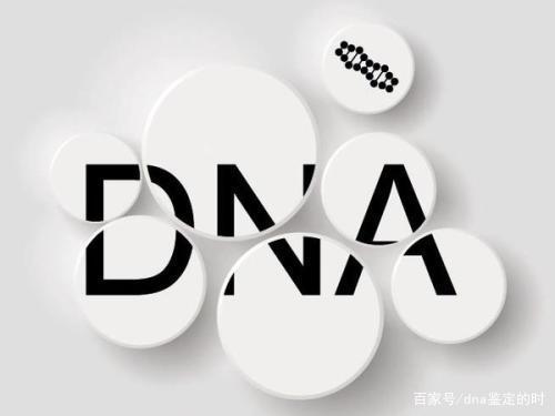 无创dna