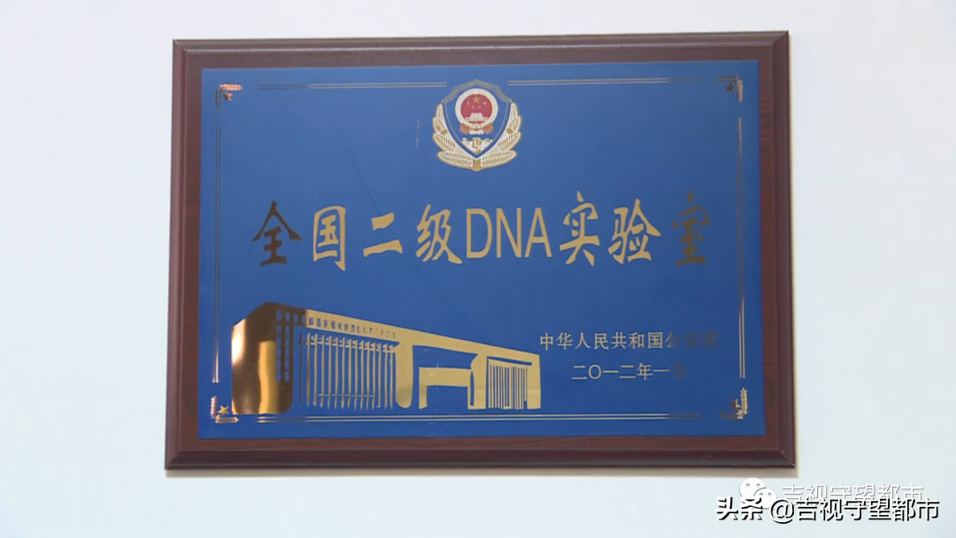 DNA鉴定流程和费用（记者带你走进实验室，揭秘DNA比对流程）