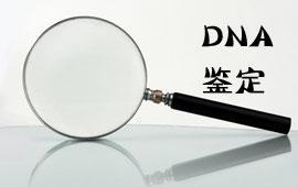 DNA检测多少钱（DNA检测。多少钱？）