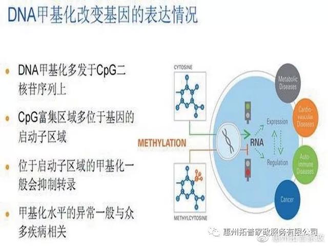 孩子怀孕期间亲子鉴定（怀孕期间可以知道孩子的dna吗）